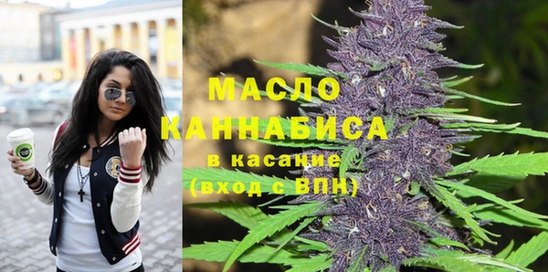 шишки Пестово