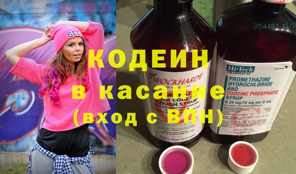 шишки Пестово