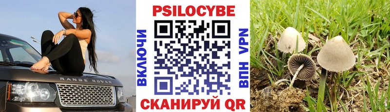 Купить закладки  Боготол  Псилоцибиновые грибы мухоморы 